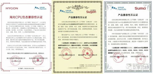 ChainSQL完成與海光、中科曙光、中科可控產(chǎn)品兼容性認(rèn)證 開啟國產(chǎn)化數(shù)據(jù)庫新篇章